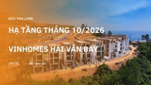 cap nhat ha tang t10